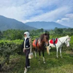 🌸 9 Potret Romantis Syahrini dan Reino Barack di Puncak: Momen Mesra di Tengah Keindahan Alam