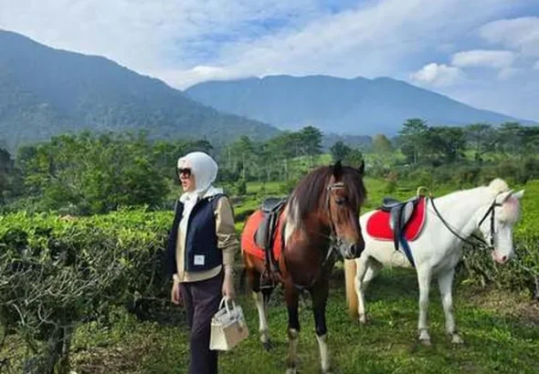 🌸 9 Potret Romantis Syahrini dan Reino Barack di Puncak: Momen Mesra di Tengah Keindahan Alam